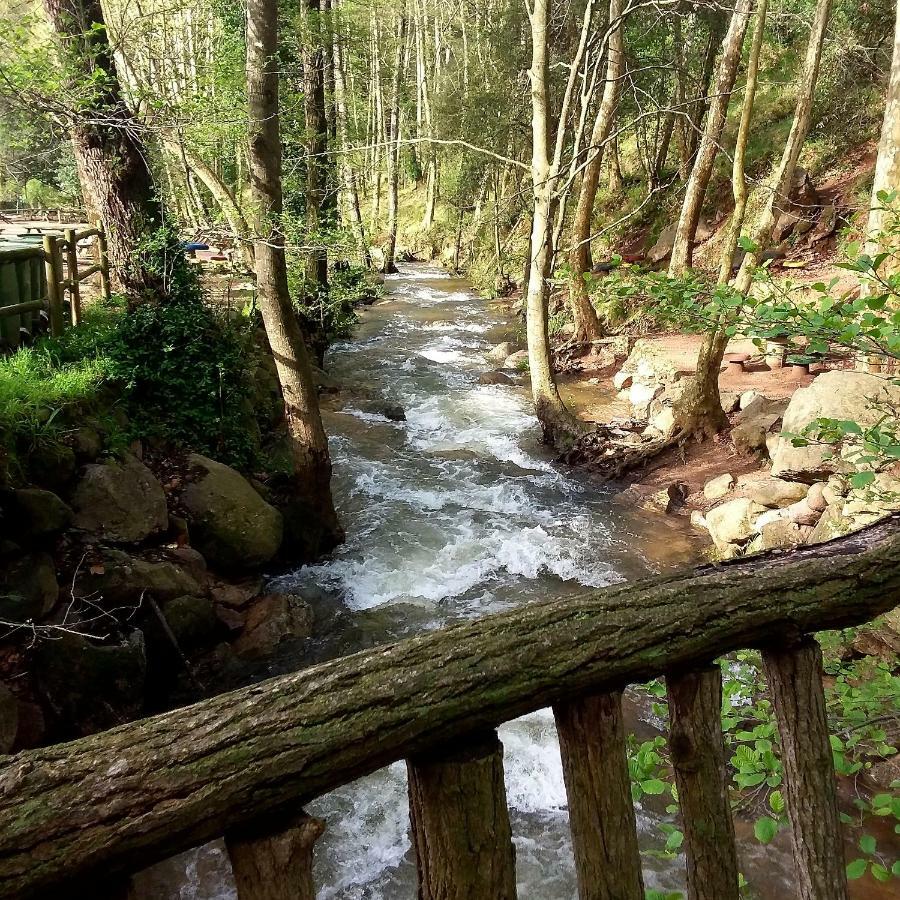 Parc Gualba *